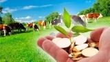 Продлен срок приема документов на предоставление грантов КФХ