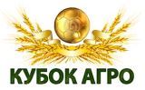 «Кубок Агро России – 2020» по минифутболу