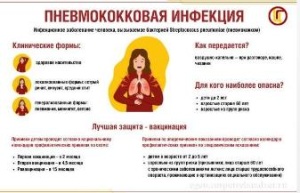 ПРОФИЛАКТИКА ПНЕВМОКОККОВОЙ ИНФЕКЦИИ