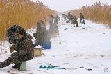 Напоминаем