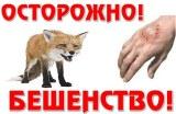 Внимание! Бешенство животных