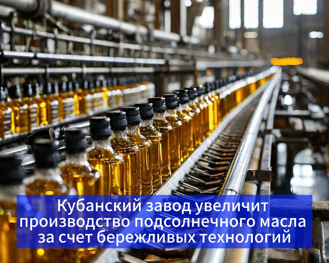Кубанский завод увеличит производство подсолнечного масла за счет бережливых технологий