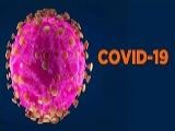 Информация по COVID-19
