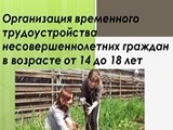 Летняя занятость несовершеннолетних