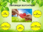 10 заповедей волонтера-эколога