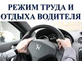 Минтранс вновь меняет режим труда и отдыха водителей