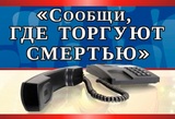 Сообщи, где торгуют смертью!