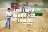 Грант на поддержку начинающих фермеров
