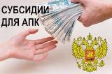 Министерство сельского хозяйства и перерабатывающей промышленности Краснодарского края осуществляет приём документов на выплату субсидий на поддержку племенного животноводства