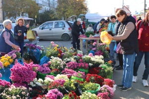 Все краски осени - на ярмарке выходного дня