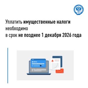 Уплатить имущественные налоги необходимо до 1 декабря