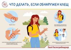 ОСТОРОЖНО, КЛЕЩИ!!!