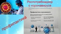 Инструкция по проведению дезинфекционных мероприятий для профилактики заболеваний, вызываемых коронавирусами