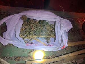 В Брюховецком районе за незаконное хранение наркотиков на скамью подсудимых отправлен местный житель