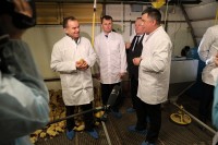 В 2019 году Краснодарский край экспортировал мясо птицы на сумму 12,3 млн долларов