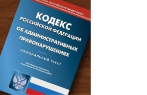 Полиция призывает граждан проявлять бдительность при обращении с паспортом гражданина РФ