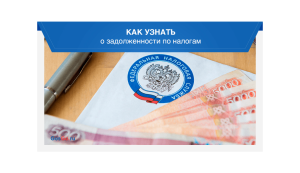 Как проверить и уплатить задолженность по имущественным налогам