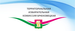 Заседание ТИК Брюховецкая
