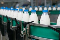 В России ввели новые правила маркировки молочной продукции