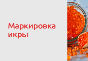 С 1 июня 2026 года вводится поэкземплярный учет икры осетровых и лососевых