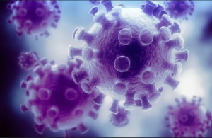 Заболеваемость коронавирусом продолжает расти