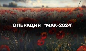 Операция «Мак – 2024»