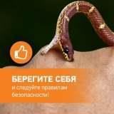 Осторожно змеи!