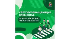 ГУОБДД МВД России 