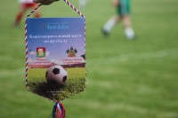 На благотворительном футбольном матче в Брюховецкой собрали почти полмиллиона рублей