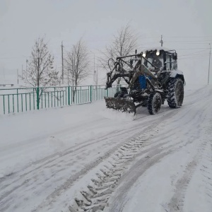 Во власти стихии
