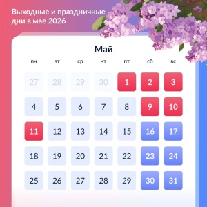 Как будут работать медицинские учреждения, службы и транспорт в праздничные дни