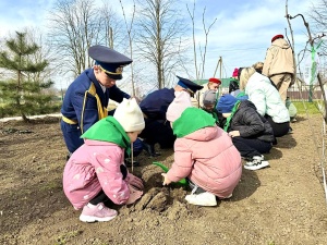 Сад памяти: связь поколений