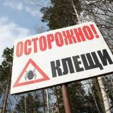 Осторожно! Клещи!