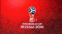 О проведении «горячей линии» в рамках Чемпионата мира по футболу FIFA 2018