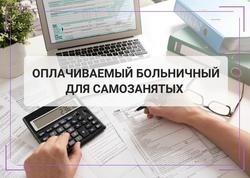 На Кубани с 2026 года самозанятые могут добровольно уплачивать страховые взносы для получения пособия по временной нетрудоспособности