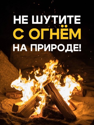 Берегите лес от пожара!