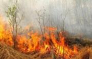 ПАМЯТКА ДЛЯ НАСЕЛЕНИЯ  О МЕРАХ ПОЖАРНОЙ БЕЗОПАСНОСТИ В ПОЖАРООПАСНЫЙ ПЕРИОД