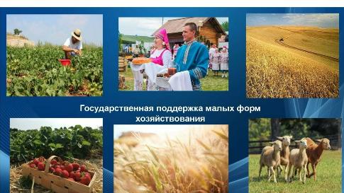 Управление сельского хозяйства информирует