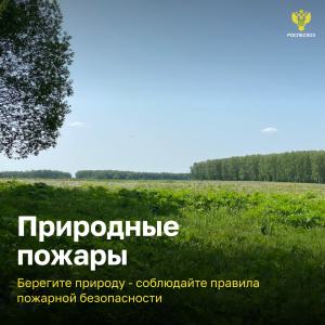 В рамках Кампании в период с 15 марта по 30 сентября 2026 года Рослесхоз предлагает просмотреть социально-значимый видеоролик о сбережении лесных ресурсов России и недопущении выжиганий сухой растительности.