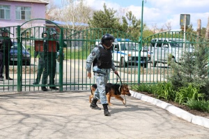 В Брюховецком районе прошли Всероссийские антитеррористические учения