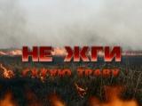 О запрете сжигания сухой травы