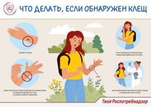 Внимание! Клещи!