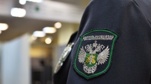 Россельхознадзор напоминает о профилактике пожароопасных ситуаций на землях сельхозназначения