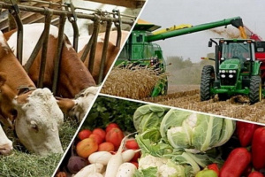 В Краснодаре пройдёт панельная дискуссия «Устойчивое сельское хозяйство» 