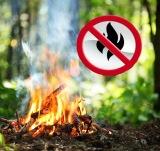 Обеспечение пожарной безопасности в период прохождения весеннего пожароопасного сезона 2022 года 
