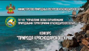 КОНКУРС «ПРИРОДА КРАСНОДАРСКОГО КРАЯ»