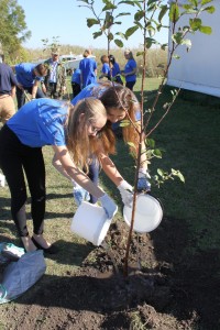 В рамках экомарафона на «Казачьем острове» высадили деревья