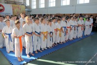 Краевые соревнования по киокушинкай-каратэ прошли в Брюховецком районе