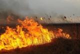 ПАМЯТКА ДЛЯ НАСЕЛЕНИЯ  О МЕРАХ ПОЖАРНОЙ БЕЗОПАСНОСТИ В ПОЖАРООПАСНЫЙ ПЕРИОД