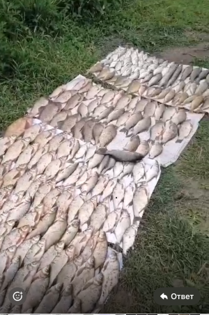 В Брюховецком районе полицейские пресекли деятельность браконьера